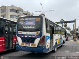Empresa Virgen de Ftima S.A. (Per) 172
