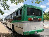 Expresos Casa de Dios 17 por M�guel Pino