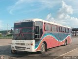 Colectivos Sol de Oriente 133 por M�guel Pino