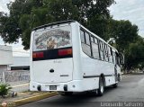 Colectivos El Vig�a 15