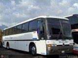 Ejecutivos Boga 009 por Josue S�nchez