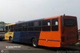 Transporte Unido (VAL - MCY - CCS - SFP) 043, por Joshua Solrzano