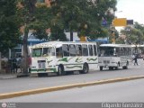 DC - Asoc. Conductores Criollos de La Pastora 039