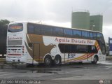 Aguila Dorada Bis 075
