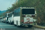 Ruta Metropolitana de Guarenas - Guatire 419 por Pablo Acevedo