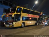 Empresa de Transporte Guadalupe Tours