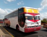 Santa Elena Express 056, por Miguel Pino