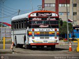 Colectivos Perij� 26, por Numiskar Escalona