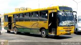 ZU - Colectivos Concepcin 083