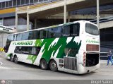 Expresos Flamingo 0051 por �ngel Sal�n