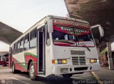 Expresos Delicias 988