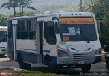 TA - A.C. L�nea Intercomunal 01