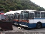 DC - Autobuses de Antimano 029, por Jean Pierts C. y Jos Miguel T.
