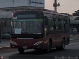 Bus MetroMara