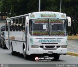 Cooperativa Canaima 12, por Daniel Fernndez
