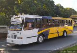 Transporte Colectivo Camag 55, por Alvin Rondn