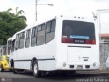 S.C. Lnea Transporte Expresos Del Chama 164