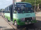 ZU - Calendario 15