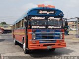 Colectivos Perij 29
