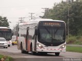 Metrobús Panamá 998