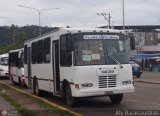 TA - A.C. Autos por puesto L�nea Palmira 031, por Aly Baranauskas