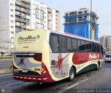 Empresa de Transporte Perú Bus S.A. 653, por Leonardo Saturno