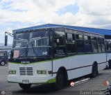 AR - Cooperativa La Pedrera 999