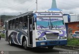 Transporte Unido (VAL - MCY - CCS - SFP) 004, por Andr�s Ascanio