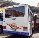 A.C. de Transporte Encarnacin 162, por Michael Caraballo