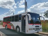 A.C. de Transporte Macizo Guayan�s 04 por M�guel Pino
