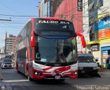 Grupo Laes 480 por Leonardo Saturno