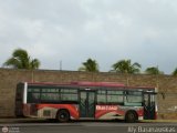 Bus Anzoátegui 1304, por Aly Baranauskas
