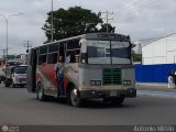 AP - A.C. Transporte Jos� Antonio P�ez 06
