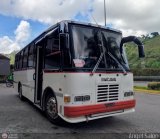 Particular o Desconocido 100, por �ngel Sal�n