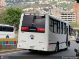 A.C. L�nea La Pascua 111 por Alvin Rond�n