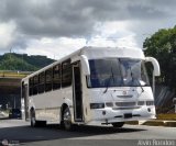 Transporte Unido (VAL - MCY - CCS - SFP) 008, por Alvin Rondón