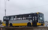 Perú Bus Internacional - Corredor Amarillo 2049