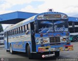 Transporte Palo Negro La Morita 2 105, por Daniel Fern�ndez
