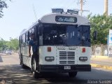 Colectivos La Rosita 008 por Abner Sarcos
