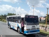 CA - Autobuses de Santa Rosa 16 por Aly Baranauskas