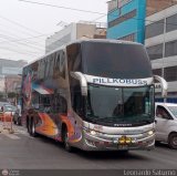 Transportes GM Internacional (Perú) 954, por Leonardo Saturno