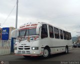 Ejecutivos Kova 083