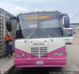 A.C. Transporte Paez 048, por Yenderson Fernndez C.