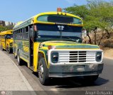 ZU - Concepci�n - Palito Blanco 001