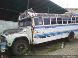 TA - Autobuses de Tariba 11 por Jerson Nova