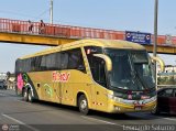 Transporte Flores Hermanos S.R.L 951 por Leonardo Saturno