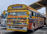 L�nea Sanare 04
