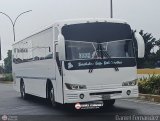 Servicios Especiales del Centro C.A. 12