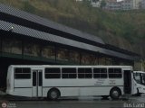 Unin Conductores Ayacucho 0001, por Bus Land