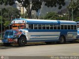 Transporte Colectivo Palo Negro 78 Blue Bird Convencional No Integral International 3800